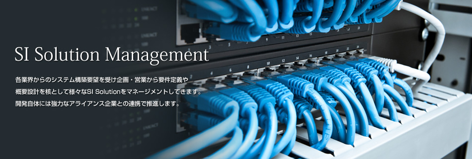 SI Solution Management